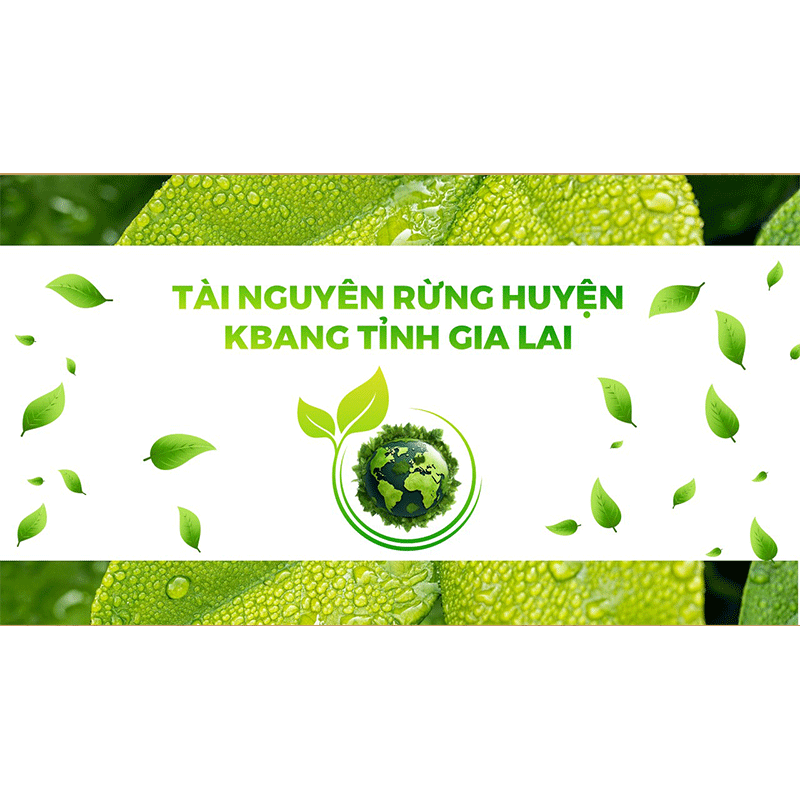 Tài nguyên rừng KBang huyện Gia Lai